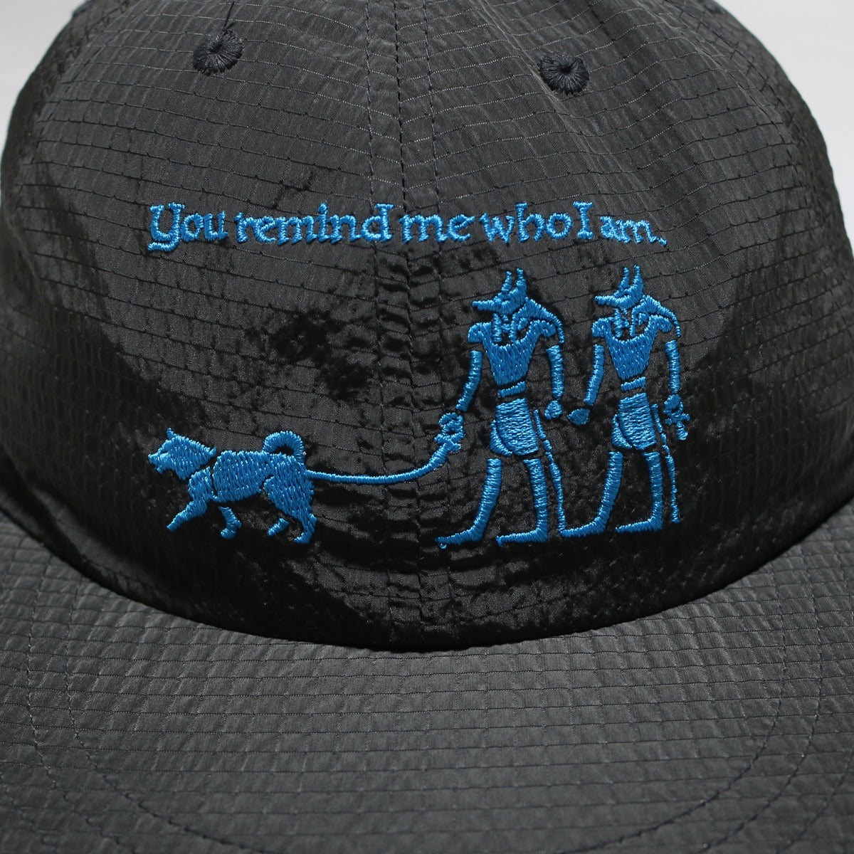 ANBS CAP