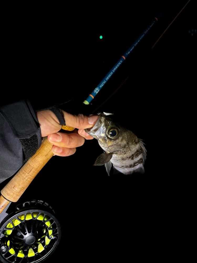 DAYDREAM STREAM #5 ” YELLOWSTONE”