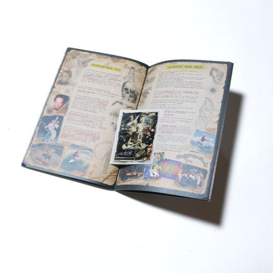 ANARCHIC ADJUSTMENT ”RADICAL WSIDOM" ISSUE:1