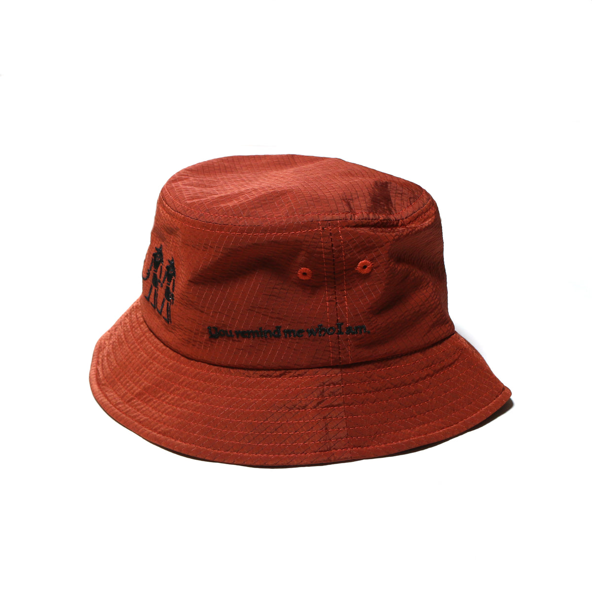 ANBS HAT