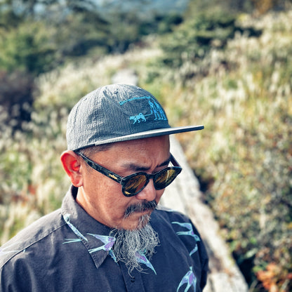 ANBS CAP