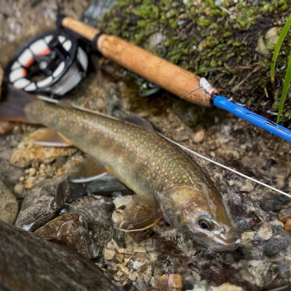 Tiemco×Adventure is out there!"ADVENTURE pack rod"704-6