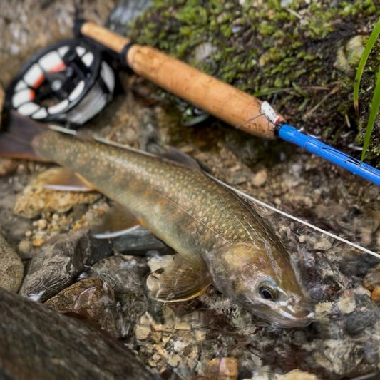 Tiemco×Adventure is out there!"ADVENTURE pack rod"704-6
