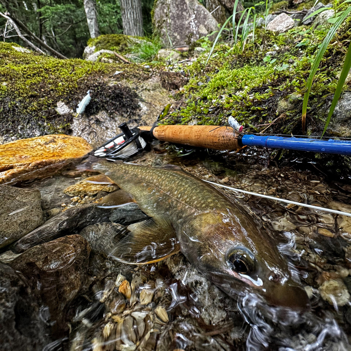 Tiemco×Adventure is out there!"ADVENTURE pack rod"704-6