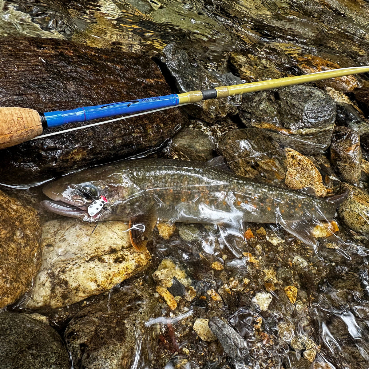 Tiemco×Adventure is out there!"ADVENTURE pack rod"704-6